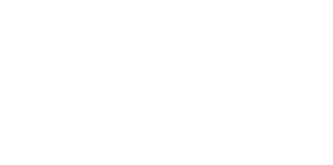 Picasse Logo Wit